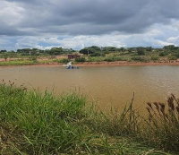 Fazenda Santo Antônio das Veredas - 183,12 ha - Agrícola e Pecuária