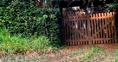 Casa com 3 quartos em São Roque/SP