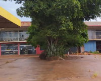 Imóvel Comercial com 300m², 2 pavimentos