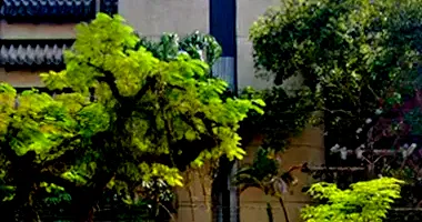 Vaga de Garagem com 29m² em Guarujá (SP)