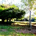 Espaçoso Terreno de 7.383,86 m² para Oportunidades de Investimento