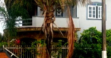 Casa espaçosa com 7 quartos, 6 banheiros e 318 m² construídos, ocupada