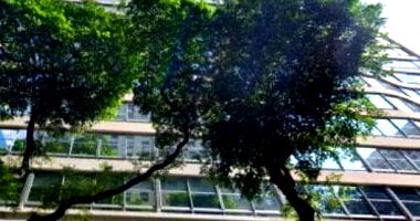Sala Comercial ampla 870 m², desocupada, ideal para negócios