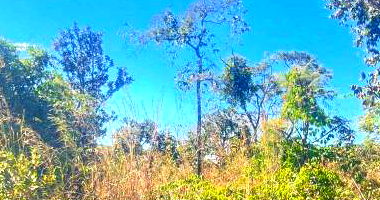 Terreno com Direitos Possessórios em Brasília