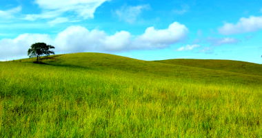 Fazenda com 477,46 hectares em Perobas, Prudentópolis/PR