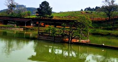 Terreno Rural com Casa e Galpão em Ibirama