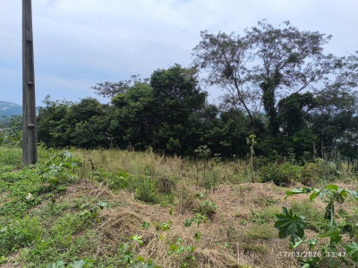 Terreno Urbano de 584m² em Loteamento Consolidado