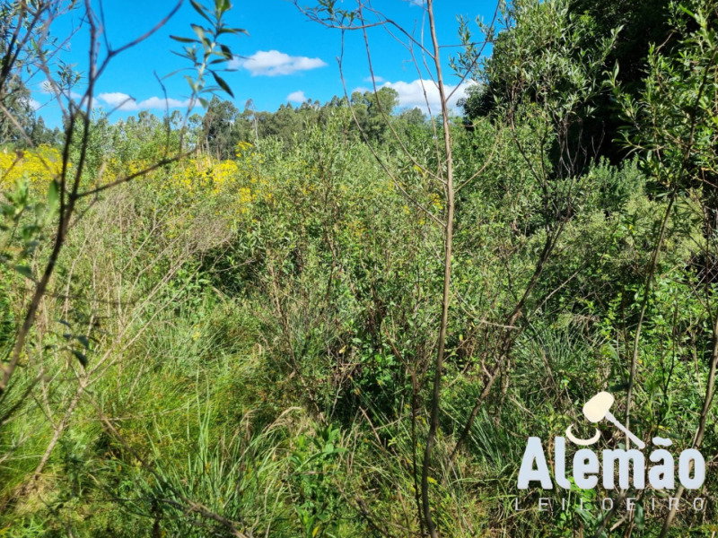 Terreno Urbano em Soledade/RS -