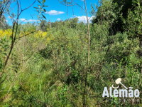Terreno Urbano em Soledade/RS -