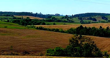 Terreno Rural com 3ha em Wenceslau Braz/PR