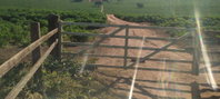Área Rural com 98 Alqueires - Xambrê/PR