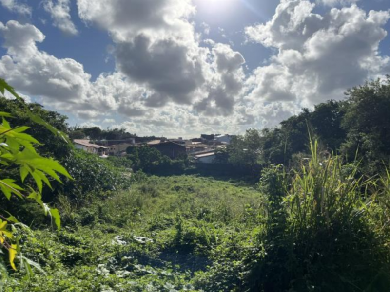 Lote desocupado com 2520.98 m² de terreno em Itapoan