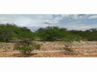 Fazenda com 247,3848 hectares, livre de ônus e dívidas