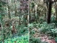 Terreno com 3.750 m² em Campos do Jordão - SP