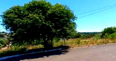 Terreno Urbano em Porecatu/PR com 600m²