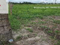 Terreno Rural em Brasnorte - MT