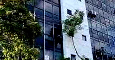 Sala Comercial ampla com 7 banheiros, 427m² construída, desocupada