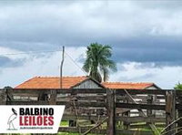 Sítio Rural com 69,89 ha, área ampla para pecuária e agricultura