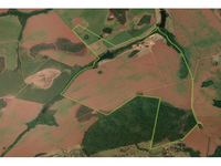 Fazenda Campo Belo com 460,07ha em Caiapônia/GO