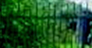 Casa Ocupada com 2 Quartos e 2 Banheiros em Antônio João/MS