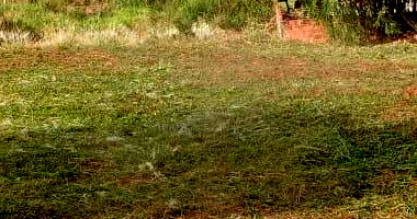 Terreno Urbano de 250 m² em Terra Roxa - Oportunidade!