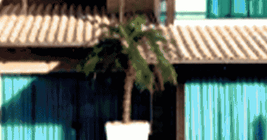 Casa ampla com 341m² em Joinville, ideal para investimento