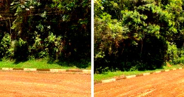 Terreno em Morada dos Colibris - 1.162 m²