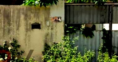 Casa em Feira de Santana com 2 quartos e 200m² de terreno