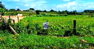 Terreno com 1000 m² de área, desmembrado, ideal para investimento