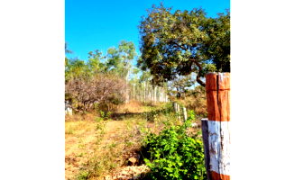 Terreno com 56,97 hectares com lagoas e casa para caseiro