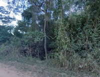 Imóvel Rural com 118.22ha em Ouro Verde de Minas/MG