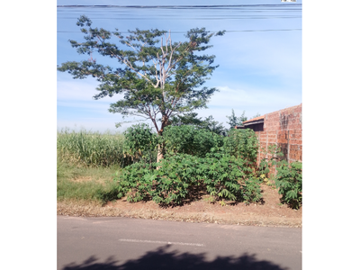 Terreno de 250m² - Oportunidade em Loteamento