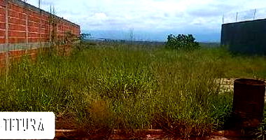 Terreno amplo sem área privativa, sem quartos e banheiros