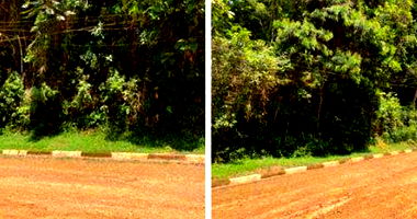 Terreno em Morada dos Colibris com 1500,87 m²