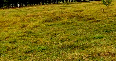 Terreno Urbano em Parque Residencial Belo Horizonte - 200m²