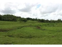 Área Rural Desocupada em Candeia - Oportunidade Única!