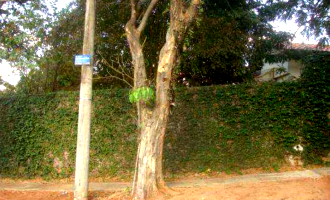 Casa com 373,00m² em Parque São Quirino