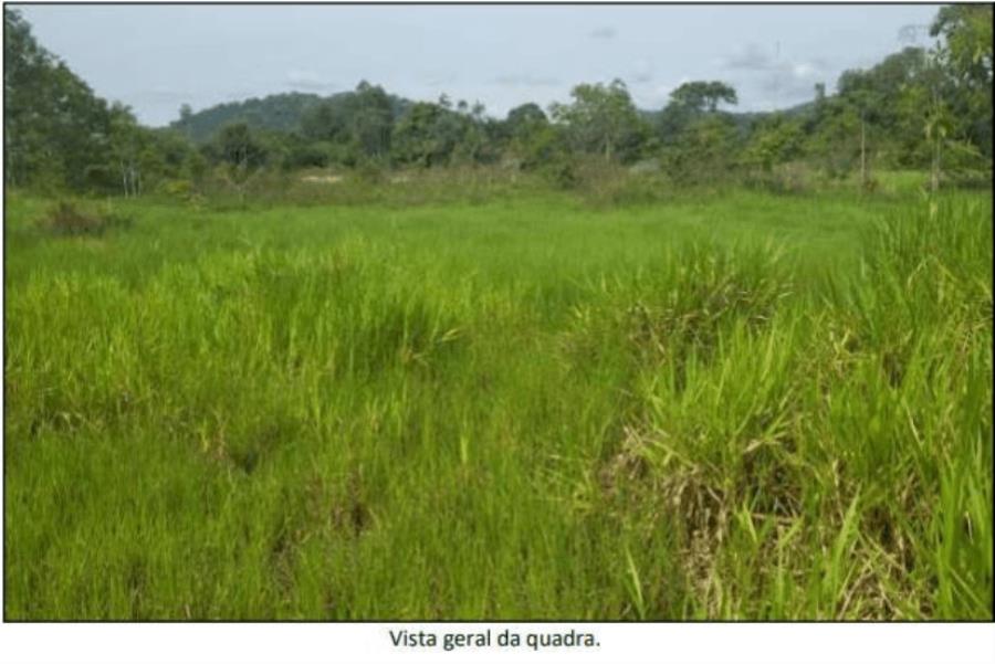 Terreno Amplo em Costa Marquês/RO - 10.000m²