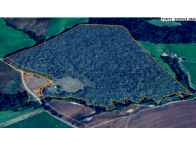 Sítio rural com 31,36 hectares, área preservada, desocupado