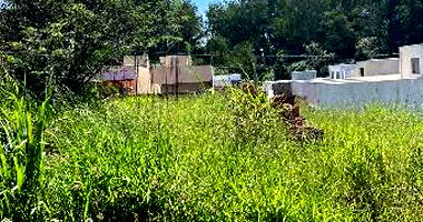 Terreno 125m² em Parque Residencial União, desocupado