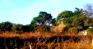 Terreno com 3.057m² em Pium/TO