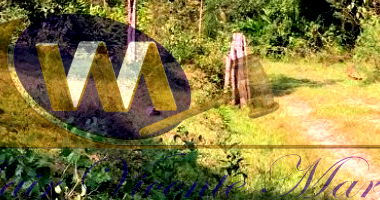 Área Rural de 1.151.001,00m² com Benfeitorias