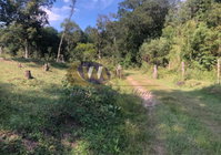 Área Rural de 1.151.001,00m² com Benfeitorias