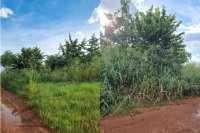 Terreno em Cuiabá/MT - Loteamento Jardim das Oliveiras