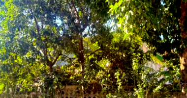 Casa com 299,49 m² em Itaipú, Niterói - Ocupada