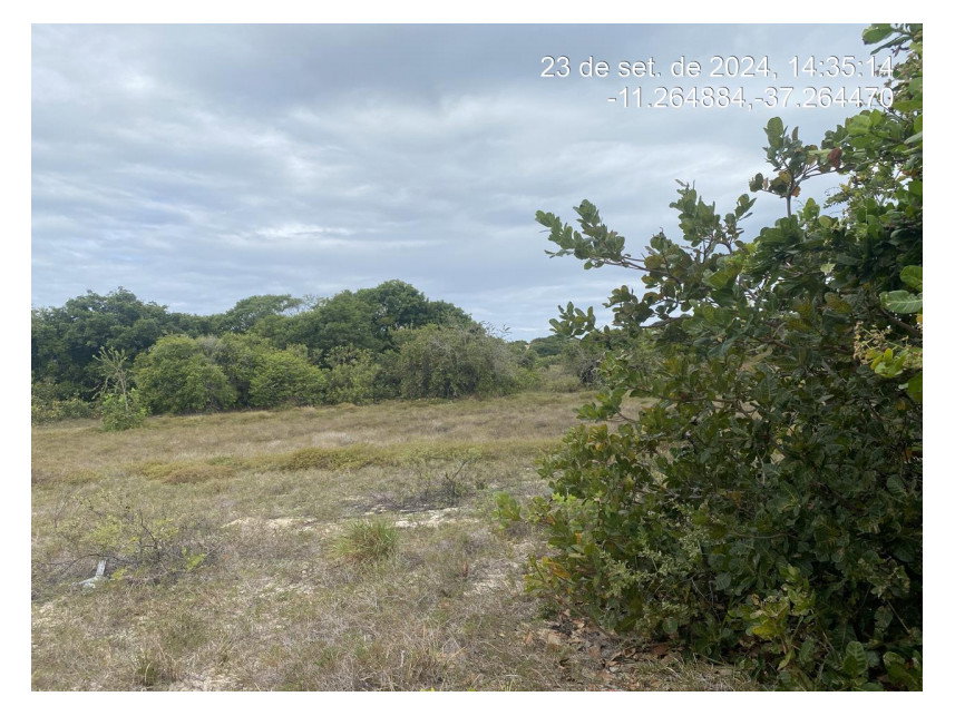 Terreno de 300m² em Loteamento com Potencial de Valorização