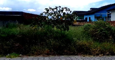 Terreno amplo de 300m² com ótima localização e potencial