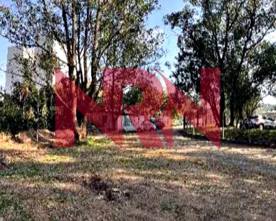 Terreno Amplo na Vila Andrade - São Paulo/SP