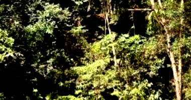 Terreno de 616,26m² ocupado no Condomínio Nova São Paulo