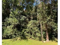 Terreno de 616,26m² no Condomínio Nova São Paulo
